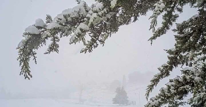 بالصور/سليانة : الثلوج تزين مرتفعات مكثر