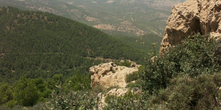 العثور على الطفل المفقود منذ يومين بجبل توشة