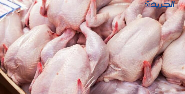 نابل: حجز 5 أطنان و208 كلغ من لحوم الدواجن غير آمنة