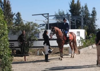 تختتم اليوم بسيدي ثابت:  منتخب الفروسية يستعد للألعاب المتوسطية 2026 ببطولة تونس للماسترز